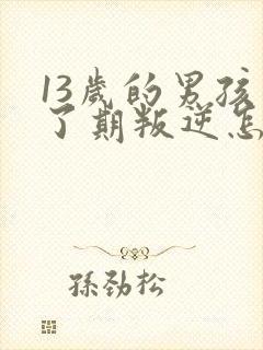 13岁的男孩到了期叛逆怎么教