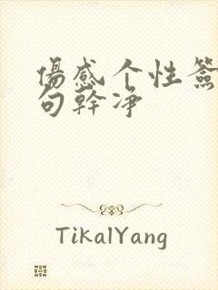 伤感个性签名短句干净