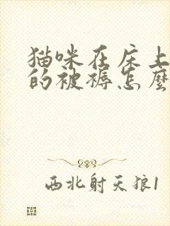 猫咪在床上拉尿的被褥怎么处理