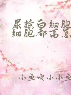 尿检白细胞和红细胞都高怎么回事