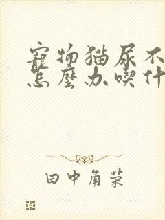 宠物猫尿不出来怎么办吃什么药