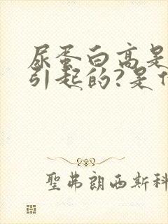 尿蛋白高是怎么引起的?是什么?怎么回事?