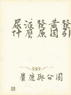 尿液发黄发热是什么原因引起的