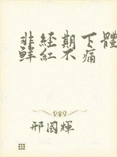 非经期下体出血鲜红不痛