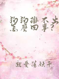 狗狗排不出尿是怎么回事?