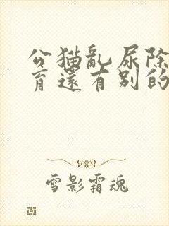 公猫乱尿除了绝育还有别的好办法吗