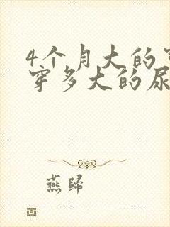 4个月大的宝宝穿多大的尿不湿