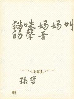 猫咪妈妈叫孩子的声音