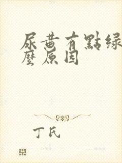 尿黄有点绿是什么原因