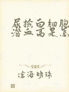 尿检白细胞和尿潜血高是怎么回事