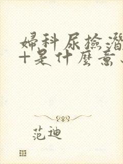 妇科尿检潜血2+是什么意思