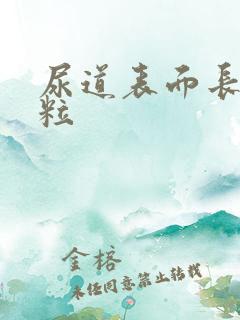 尿道表面长小肉粒