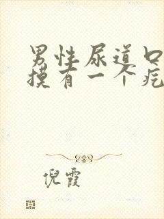 男性尿道口用手摸有一个疙瘩