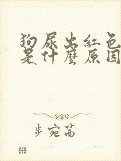 狗尿出红色的尿是什么原因