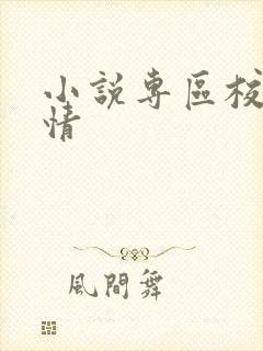 小说专区校园激情