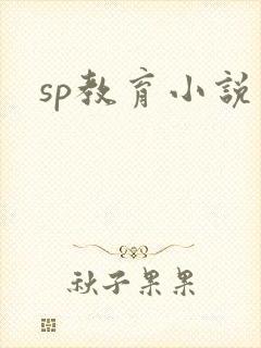 sp教育小说