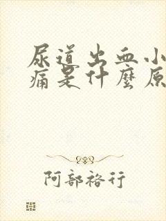 尿道出血小便刺痛是什么原因引起的