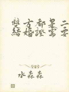 双方都是二婚领结婚证需要什么