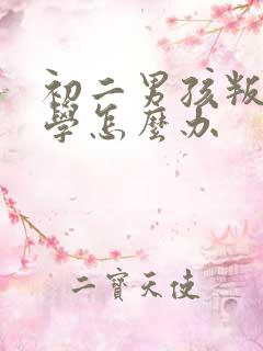 初二男孩叛逆上学怎么办