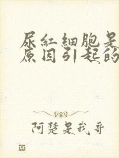 尿红细胞是什么原因引起的