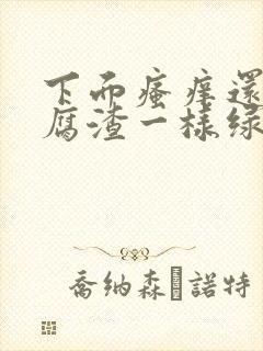 下面瘙痒还有豆腐渣一样绿色的分泌物