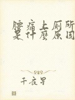 腰痛上厕所频繁是什么原因