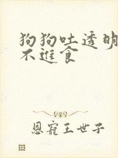 狗狗吐透明粘液不进食