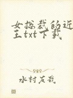 女总裁的近身兵王txt下载