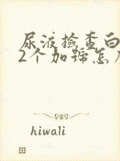 尿液检查白细胞2个加号怎么回事