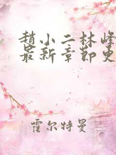 赵小二林峰小说最新章节更新时间