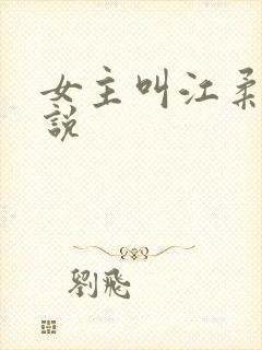 女主叫江柔的小说