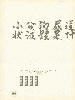 小公狗尿道口脓状液体是什么