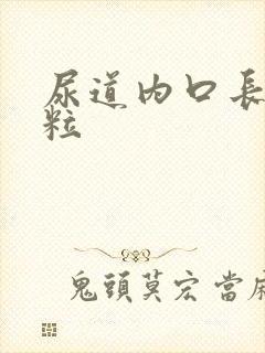 尿道内口长小肉粒