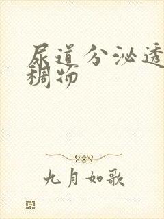 尿道分泌透明粘稠物