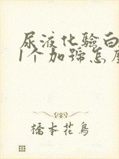 尿液化验白细胞1个加号怎么回事