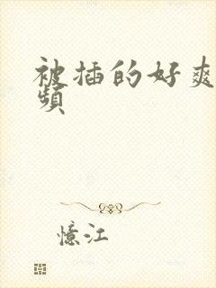 被插的好爽啊视频