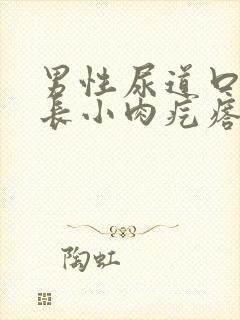 男性尿道口红肿长小肉疙瘩