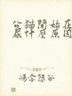 公猫开始在床上尿什么原因