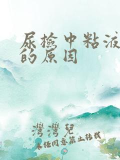 尿检中粘液丝高的原因