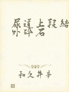 尿道上段结石体外碎石