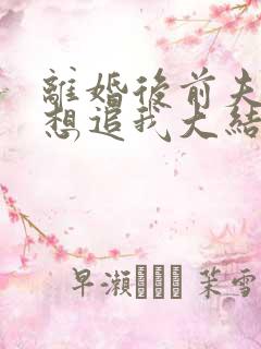 离婚后前夫总是想追我大结局