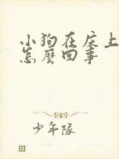 小狗在床上拉尿怎么回事