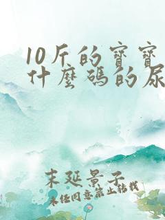 10斤的宝宝用什么码的尿不湿