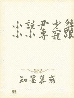 小说尹少桀,慕小小专宠跟班