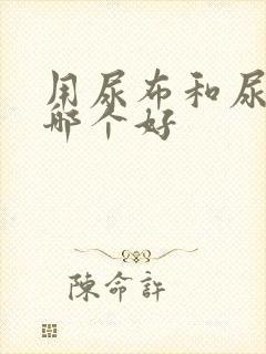 用尿布和尿不湿哪个好