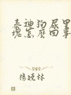 泰迪狗尿里有血块怎么回事