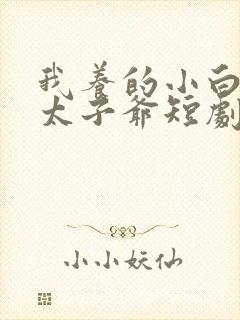 我养的小白脸是太子爷短剧