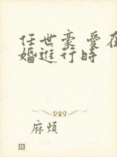 任世豪 爱在离婚进行时