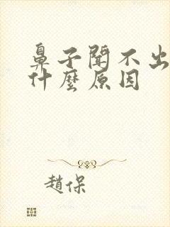 鼻子闻不出味道什么原因