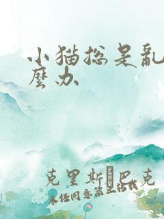 小猫总是乱尿怎么办